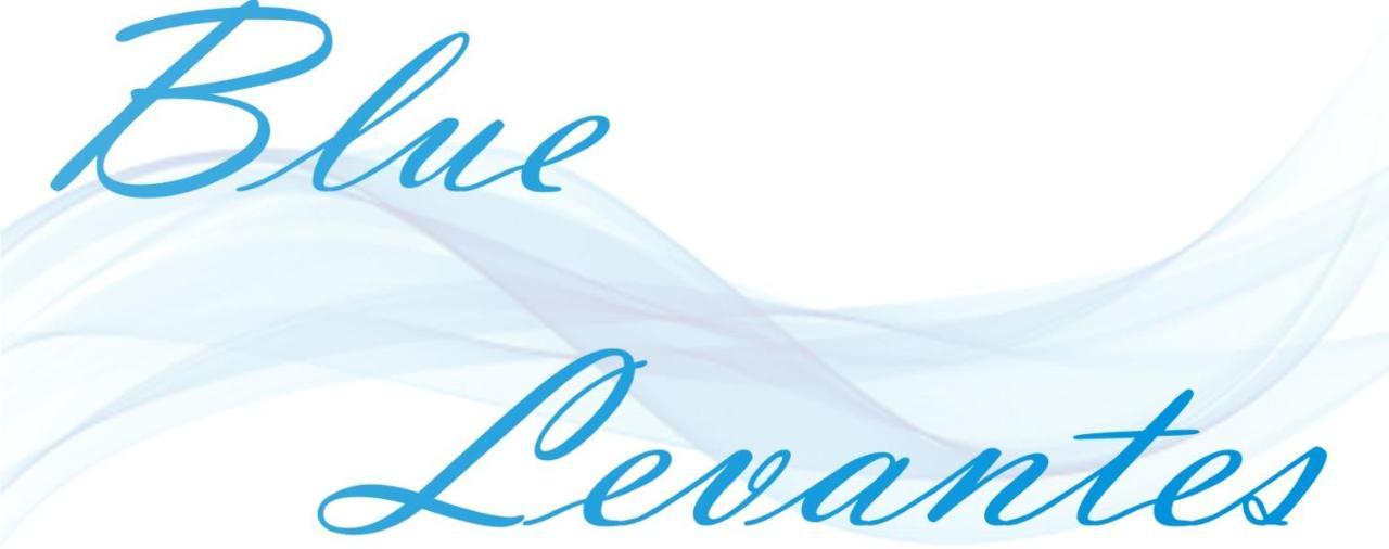 Blue Levantes Βίλα Πευκοχώρι Εξωτερικό φωτογραφία